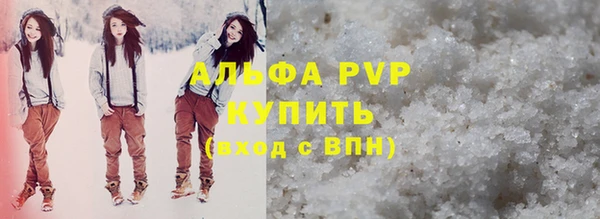 ГАЛЛЮЦИНОГЕННЫЕ ГРИБЫ Богданович