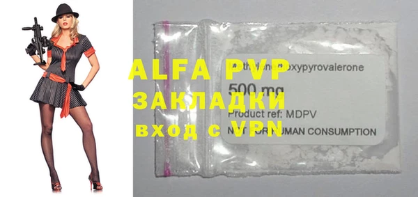 ГАЛЛЮЦИНОГЕННЫЕ ГРИБЫ Богданович