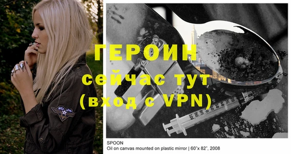 ГАЛЛЮЦИНОГЕННЫЕ ГРИБЫ Богданович