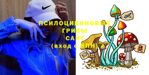 ALPHA-PVP Богородицк