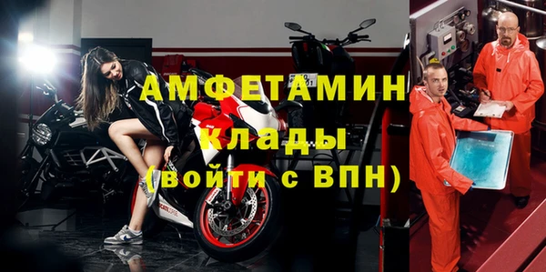 ГАЛЛЮЦИНОГЕННЫЕ ГРИБЫ Богданович