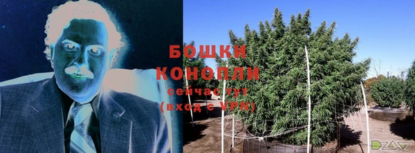 ГАЛЛЮЦИНОГЕННЫЕ ГРИБЫ Богданович