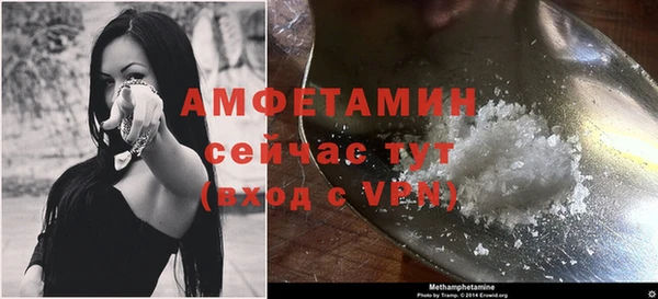 ГАЛЛЮЦИНОГЕННЫЕ ГРИБЫ Богданович