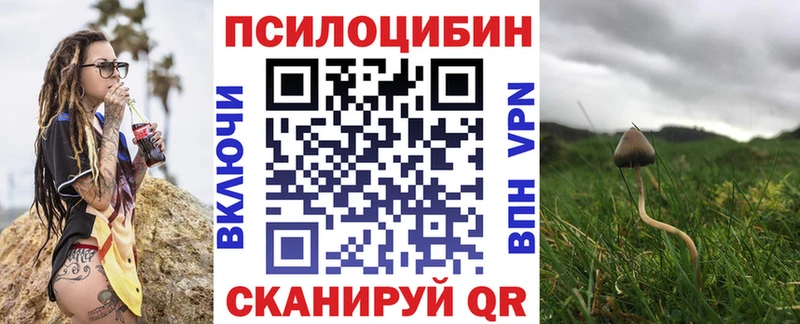 Галлюциногенные грибы GOLDEN TEACHER  магазин продажи   shop формула  Надым 
