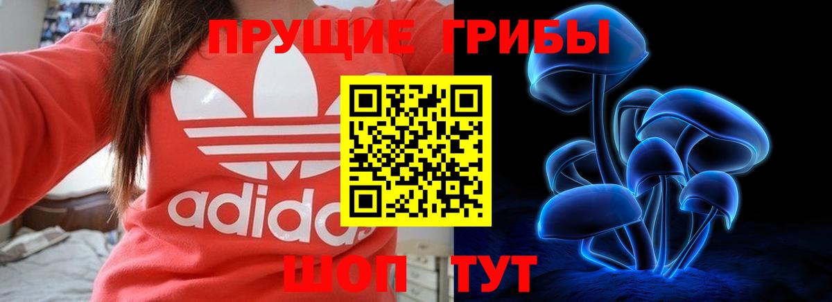 Галлюциногенные грибы Magic Shrooms  дарнет шоп  Надым  Вход с VPN 