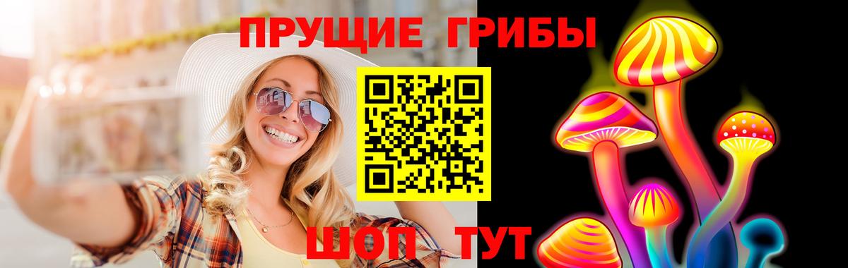 Галлюциногенные грибы Psilocybine cubensis Надым